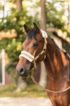 Discount horze St. Moritz leietau med panikkrok FirGreen