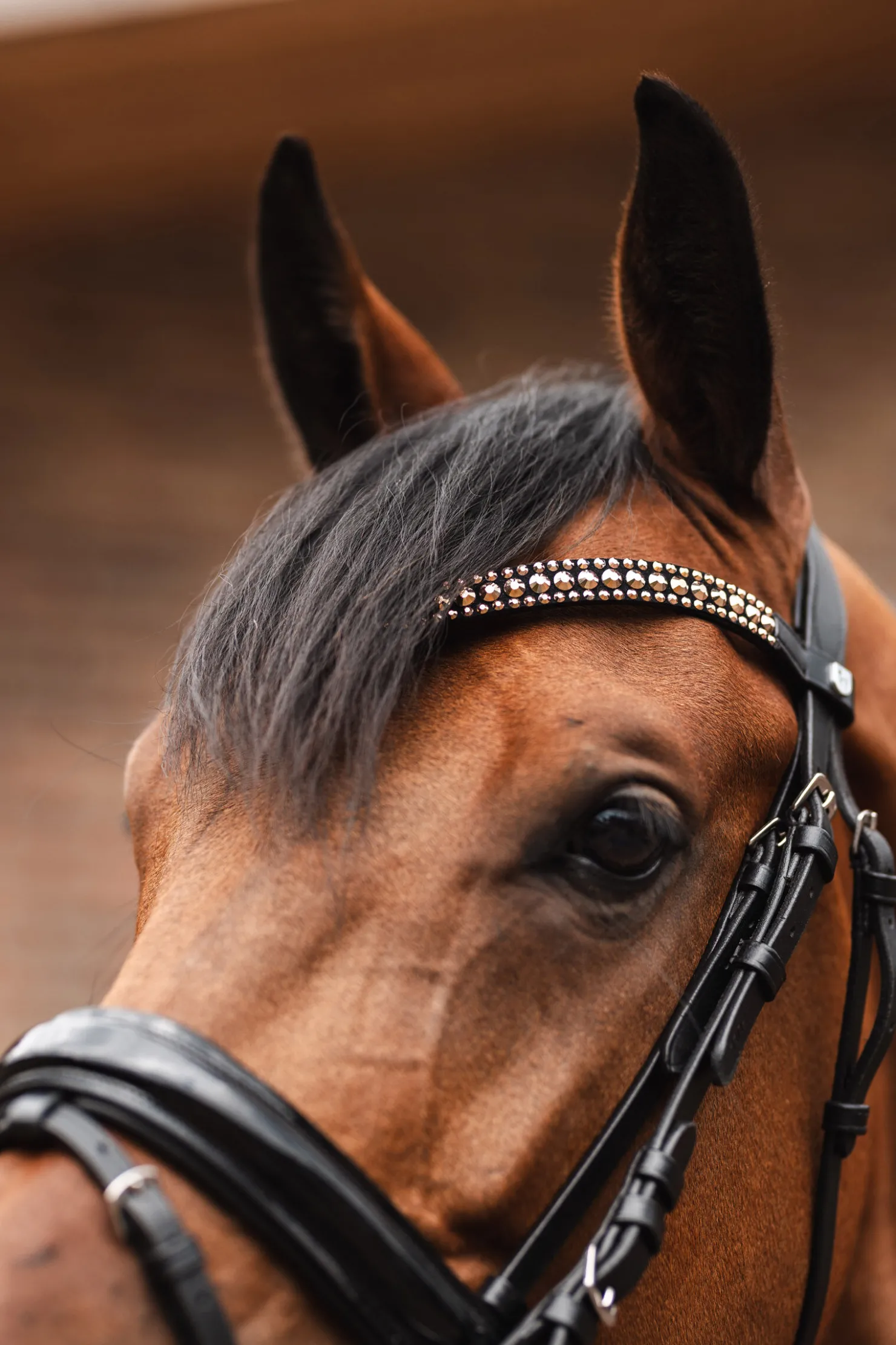 Clearance horze St. Moritz pannereim FirGreen