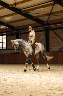 Outlet horze St. Moritz sprangsjabrak FirGreen