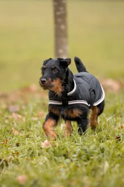 Discount horze Sudbury 2-i-1 hundedekken, 0 og 100 gram Black