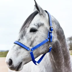 Discount horze Supreme grime med fôring RoyalBlue