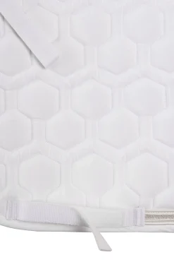 Hot horze Urban Vitality sprangsjabrak til stevne SnowWhite