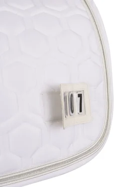 Hot horze Urban Vitality sprangsjabrak til stevne SnowWhite