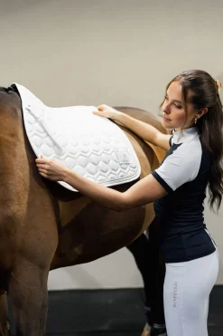 Hot horze Urban Vitality sprangsjabrak til stevne SnowWhite