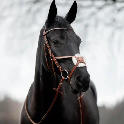 horze Valencia hodelag med meksikansk nesereim Brown