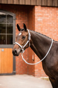 Outlet horze Victoria grime TradewindsGrey