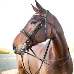 Online horze Vienna anatomisk kandarhodelag Black