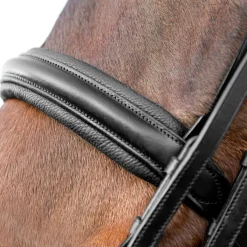 Online horze Vienna anatomisk kandarhodelag Black