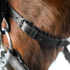 Online horze Vienna anatomisk kandarhodelag Black