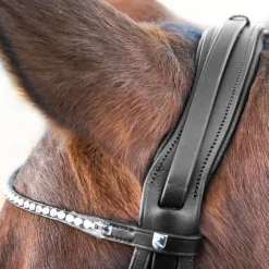 Online horze Vienna anatomisk kandarhodelag Black