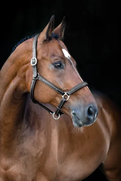 Sale horze Warren myk lærgrime Black