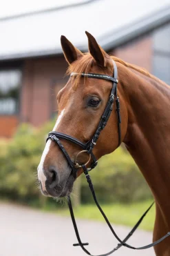 Online horze Weston hodelag Black