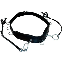 Discount karlslund Longeringsgjord Black