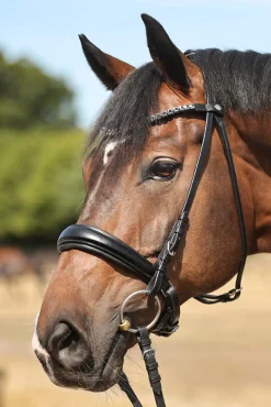 Online kavalkade Ayana KavalSH4 Bridle Black