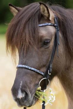 Sale kavalkade Blár Combined Noseband for Kjartan Icelandic Bridle Black