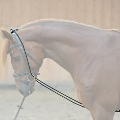 New kavalkade Bungie, elastisk Black