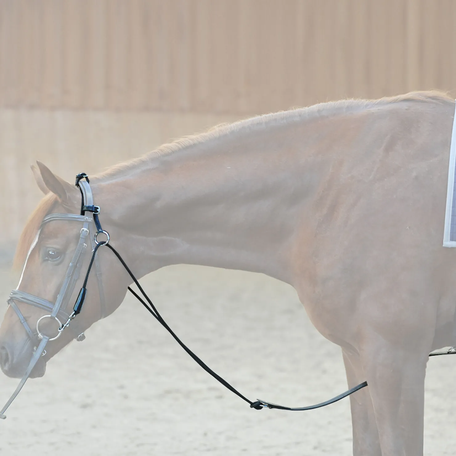 Hot kavalkade chambon Black