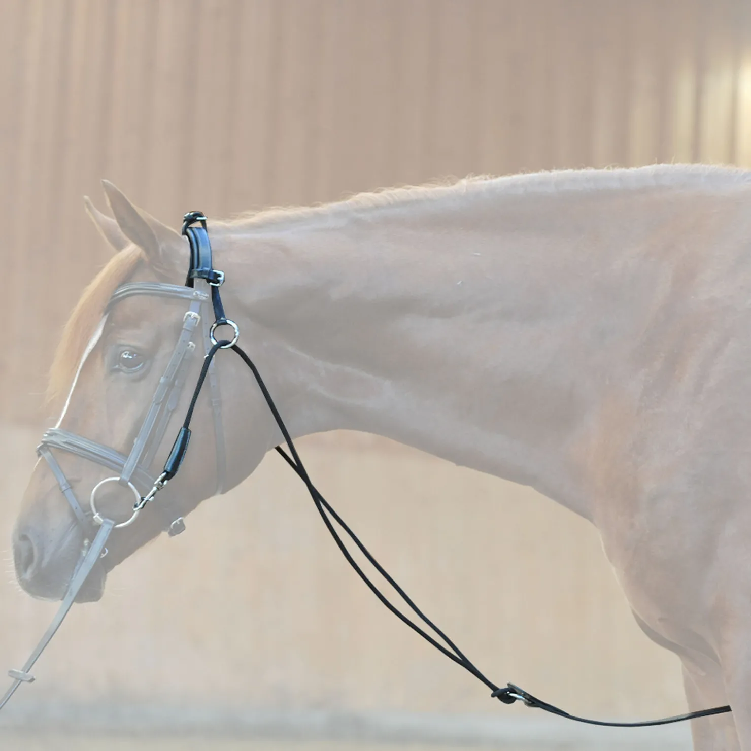 Hot kavalkade chambon Black