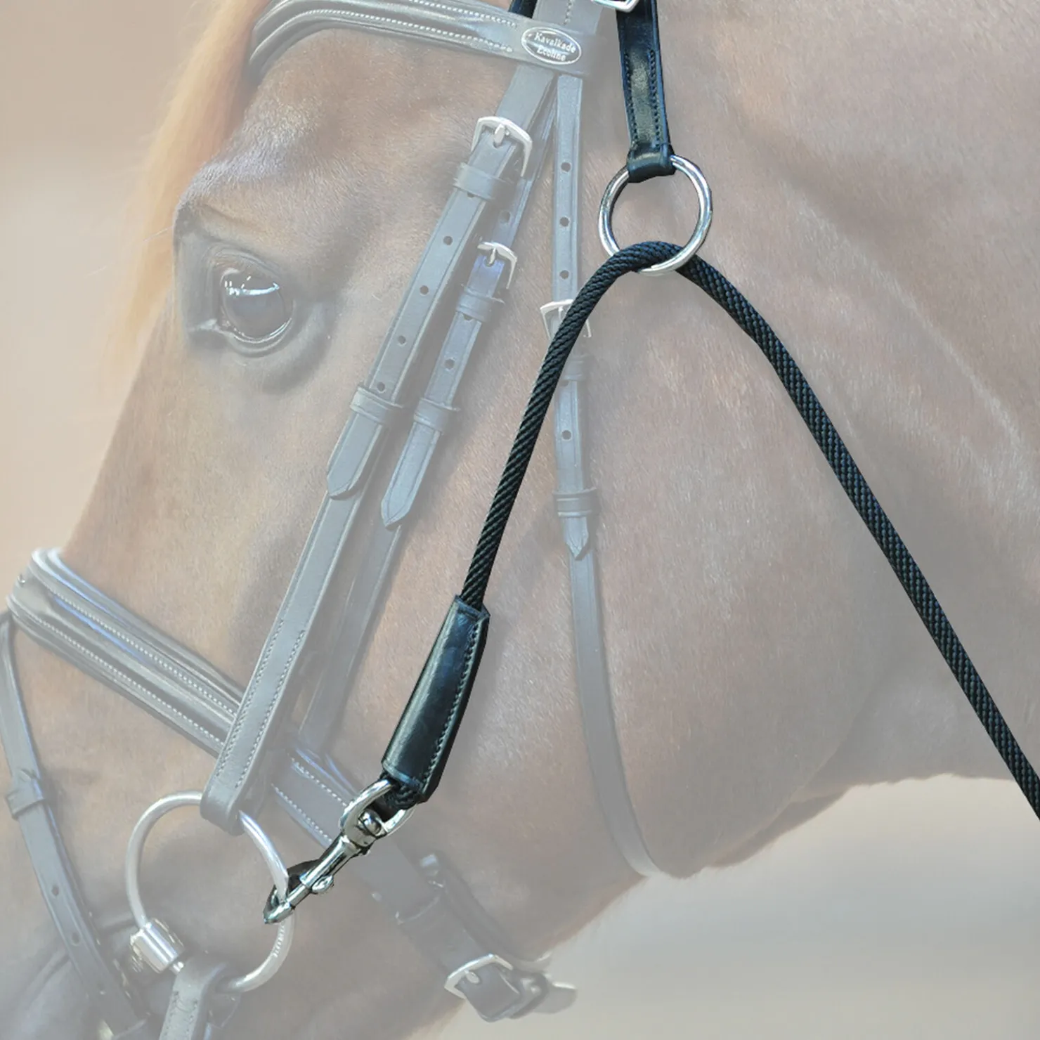 Hot kavalkade chambon Black