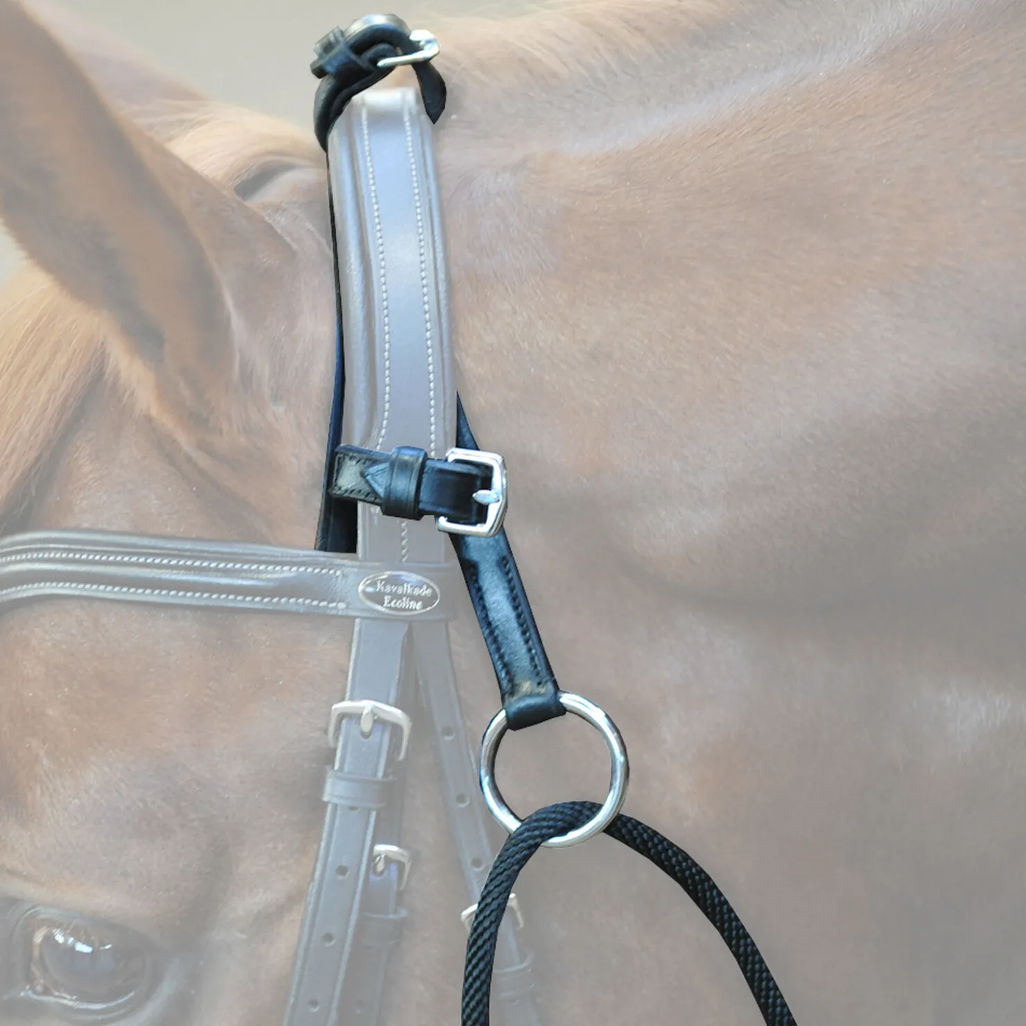 Hot kavalkade chambon Black