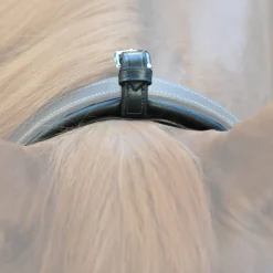 Hot kavalkade chambon Black