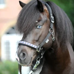 Online kavalkade Classic grime til islandshest Black