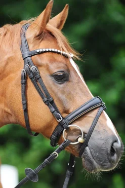 Online kavalkade Cortica Vegan Cork hodelag Black