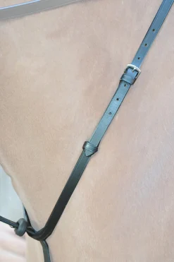 Hot kavalkade Ecoline martingal med stoppere Black