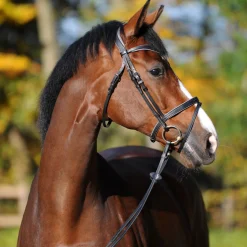 Outlet kavalkade Ella KavalSH4 hodelag Black