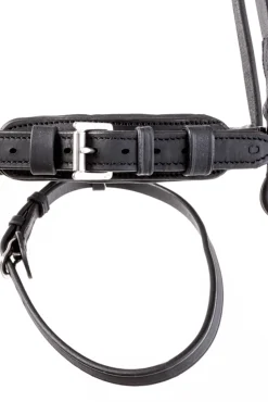 New kavalkade Everness Bridle Black