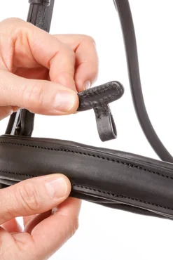 New kavalkade Everness Bridle Black