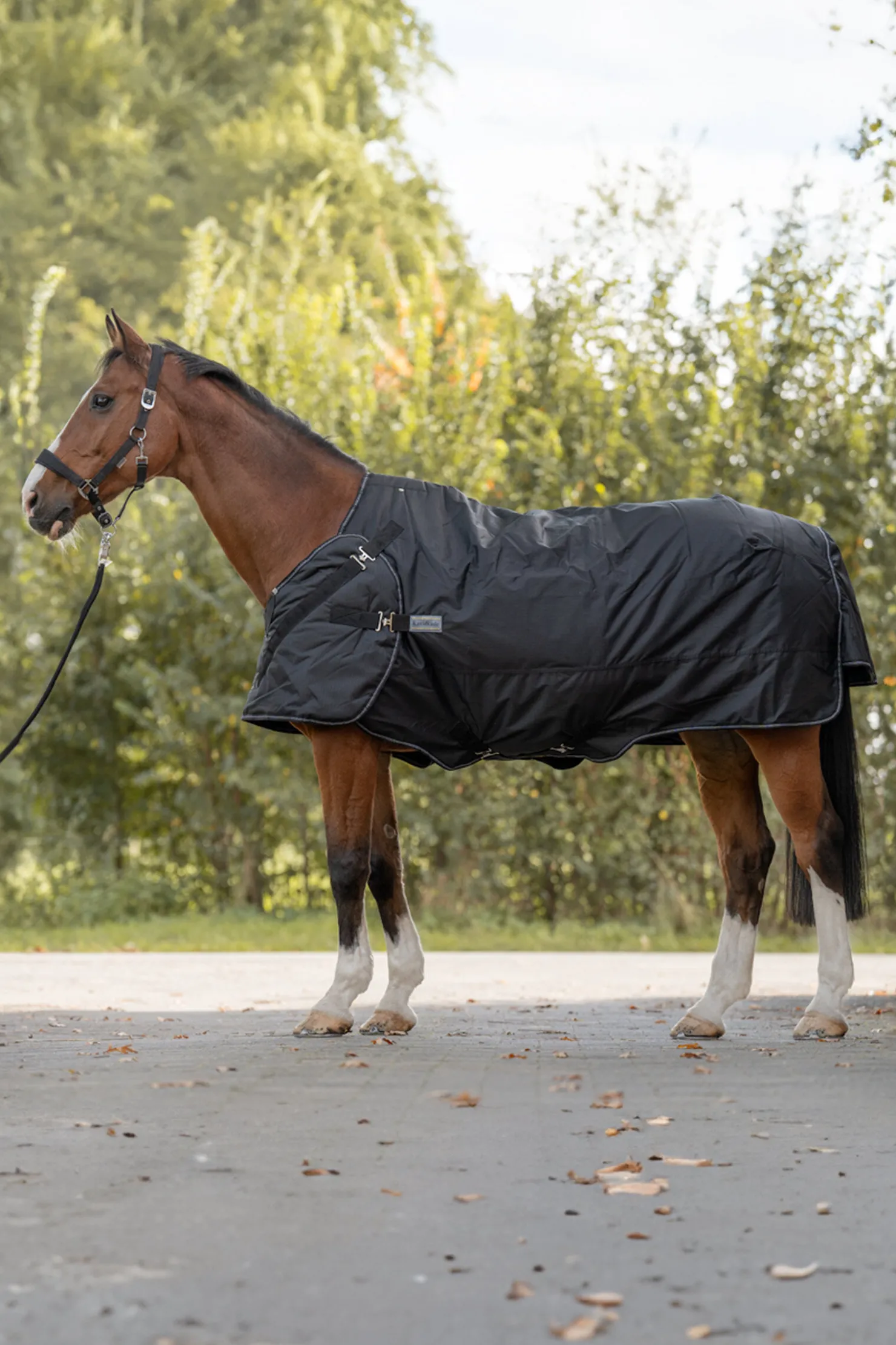 Best kavalkade Halifax 2-i-1 Utedekken og Walker-dekken 200g black/black-white