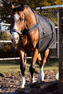 Best kavalkade Halifax 2-i-1 Utedekken og Walker-dekken 200g black/black-white