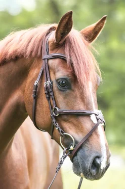 Clearance kavalkade hodelag Everado med meksikansk nesereim brown/brown