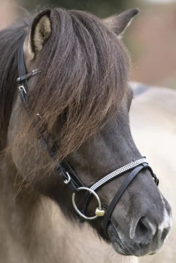 New kavalkade Hvítur English Noseband for Aradis Icelandic Bridle Black
