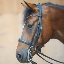 Online kavalkade Ivonne (kandar)hodelag Black