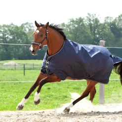 Best kavalkade Montreal utedekken, 100 gram DB/AB