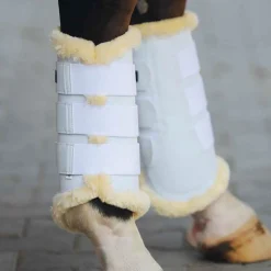 Hot kavalkade stryksokker til stevne WH/AB