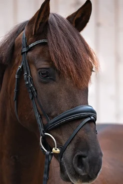 kavalkade Victoria Hodelag black/black