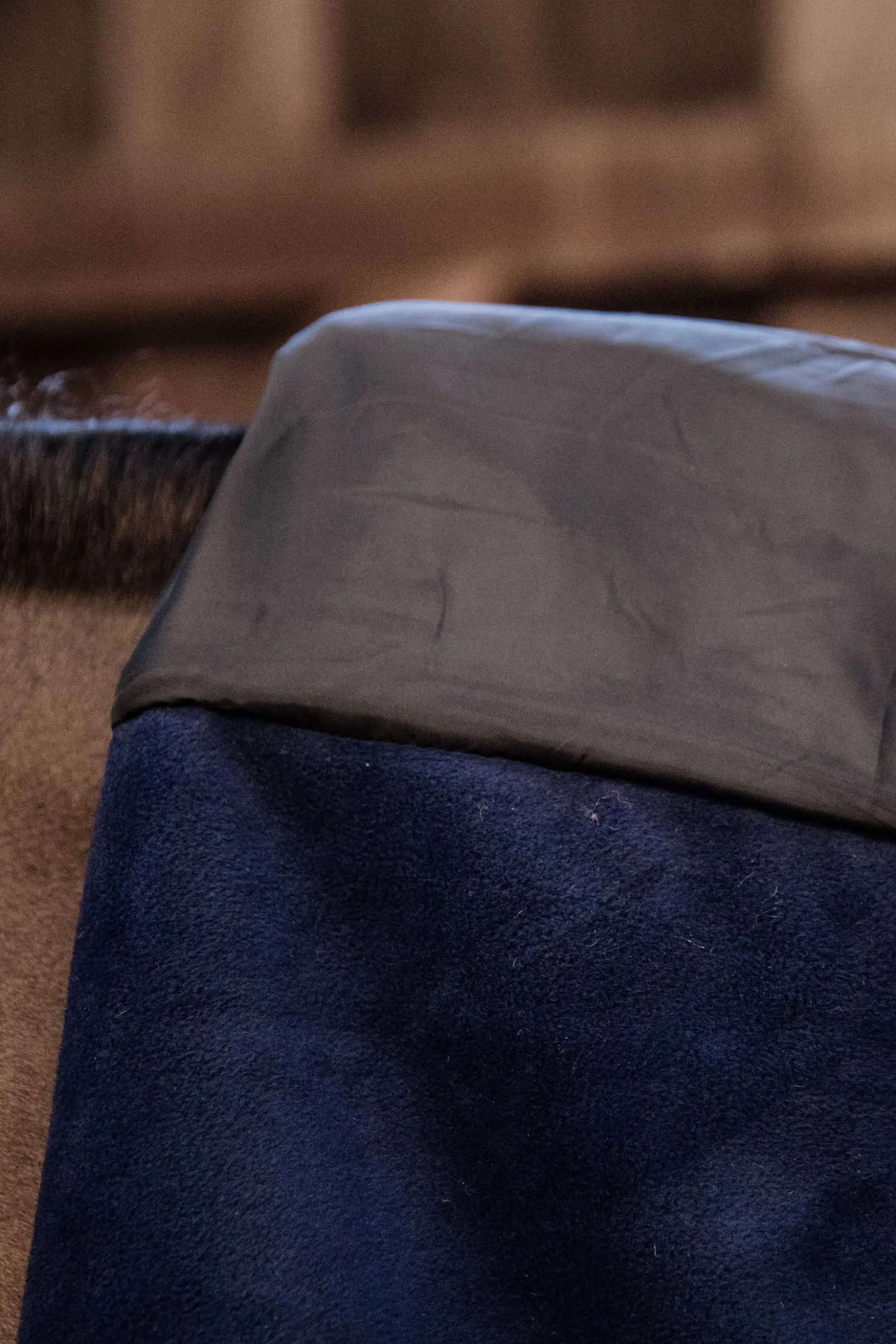 Discount kentucky Fleece Horse Scarf DB/AB