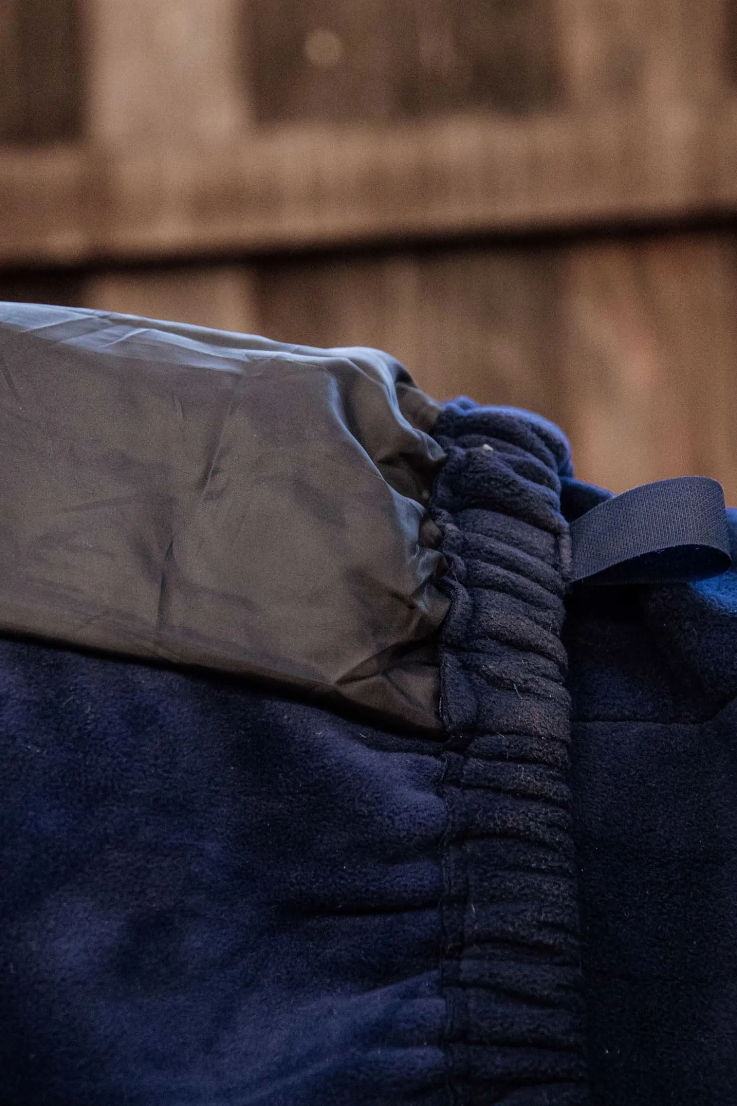 Discount kentucky Fleece Horse Scarf DB/AB