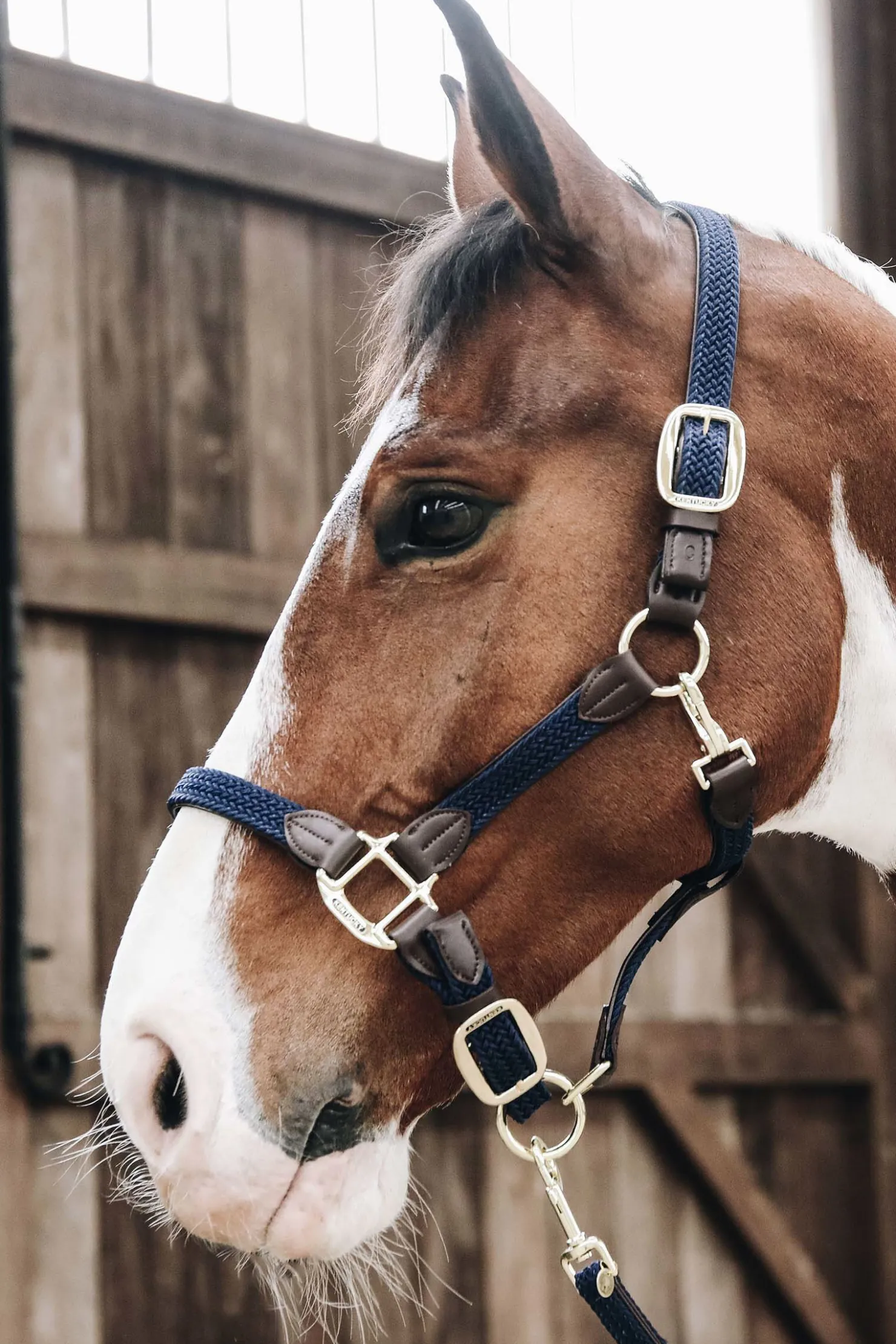 Best kentucky flettet nylongrime DB/AB