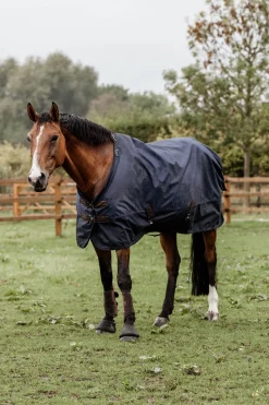 Hot kentucky Horsewear All Weather utedekken, 300 gram DB/AB