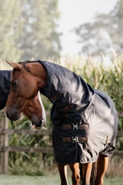 Sale kentucky Horsewear All Weather Waterproof Classic utedekken, 0 gram DB/AB