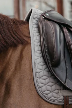 New kentucky Horsewear Basic dressursjabrak Beige