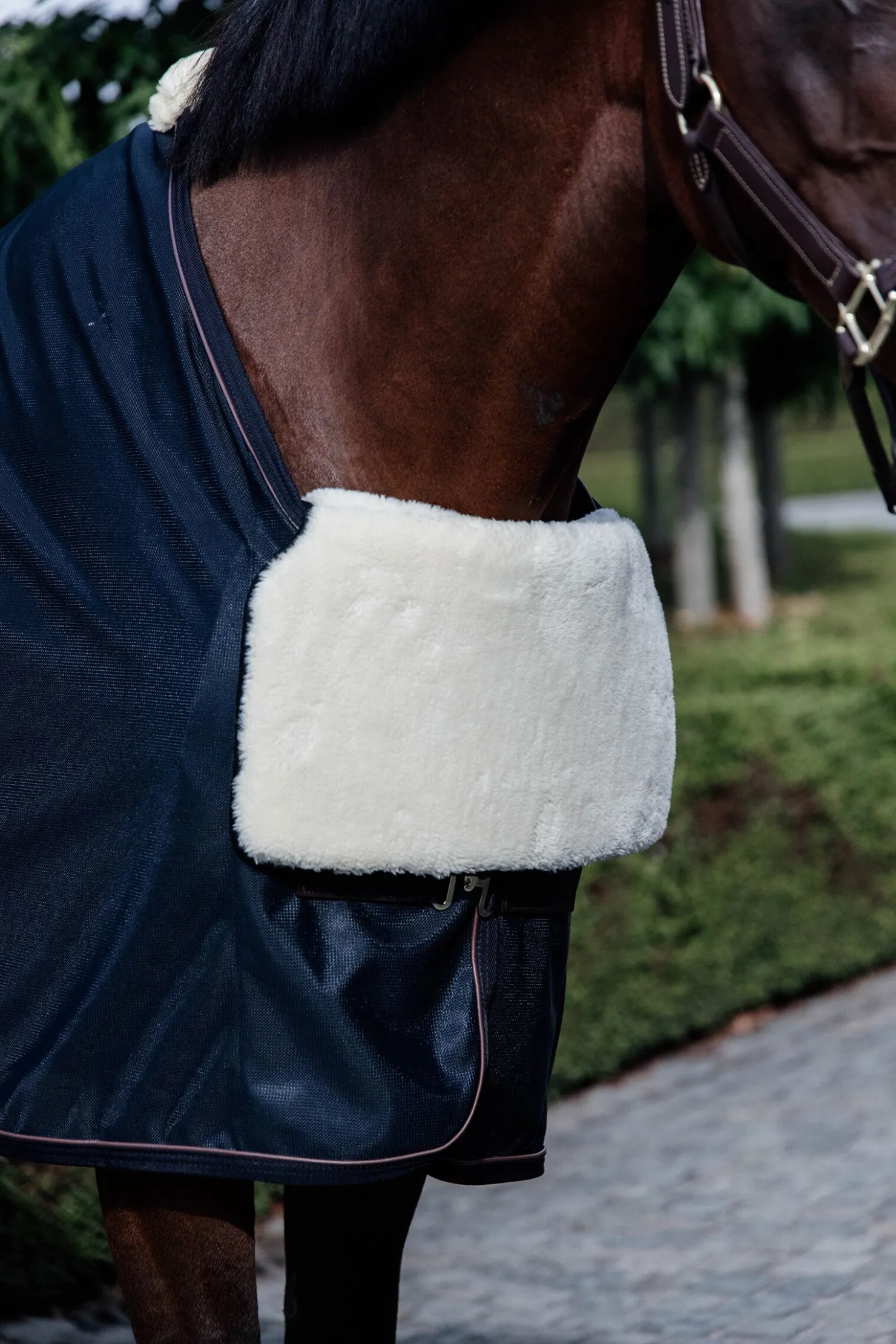 Discount kentucky Horsewear BIB brystbeskytter i saueskinn Natural