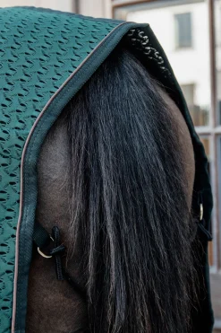 Online kentucky Horsewear 4D Spacer cooler PonderosaPineDarkgreen