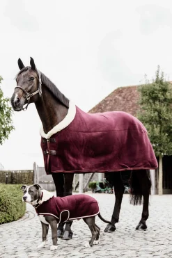 Outlet kentucky Horsewear Fleece Heavy stevnedekken BurgundyDarkRed