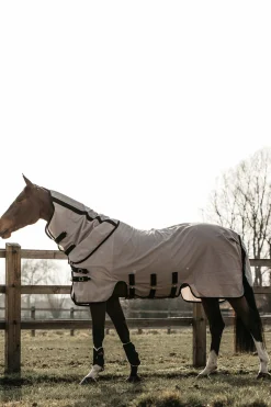 Sale kentucky Horsewear Mesh Fly Rug Beige