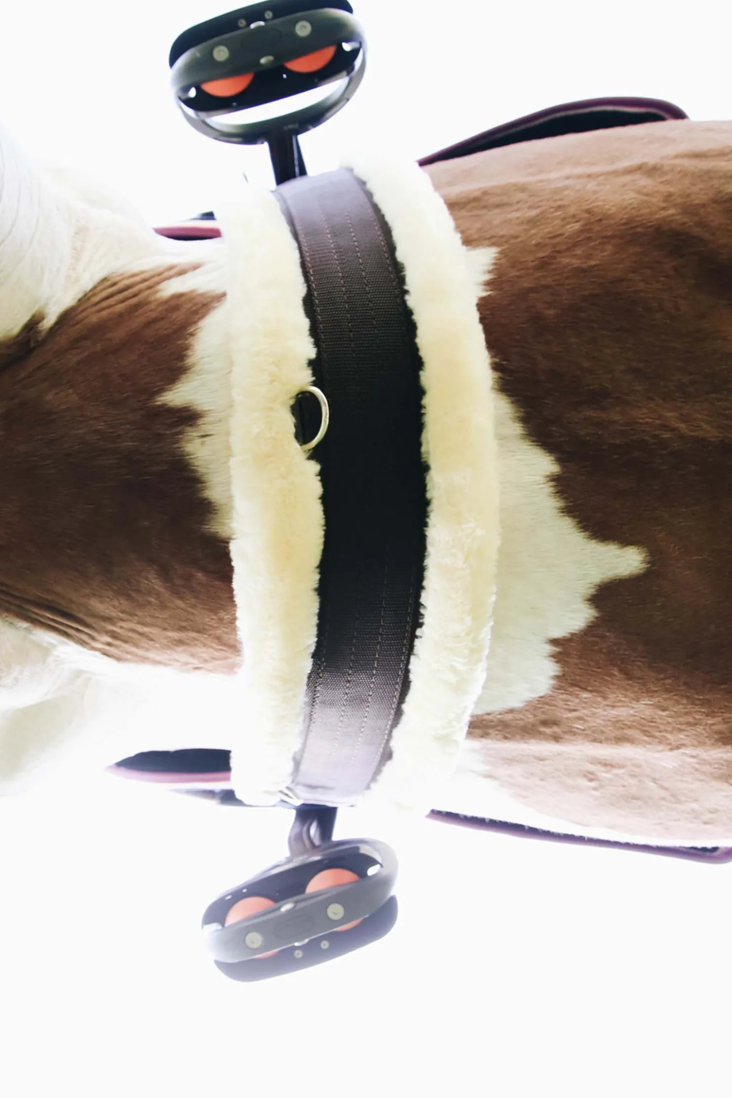 Hot kentucky Horsewear saueskinn gjord Brown